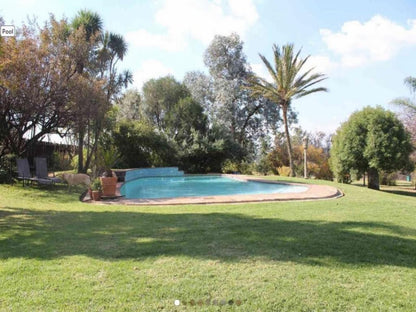 Kismet Farm Muldersdrift Gauteng South Africa Palm Tree, Plant, Nature, Wood, Garden, Swimming Pool
