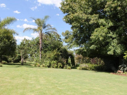 Kismet Farm Muldersdrift Gauteng South Africa Palm Tree, Plant, Nature, Wood, Garden