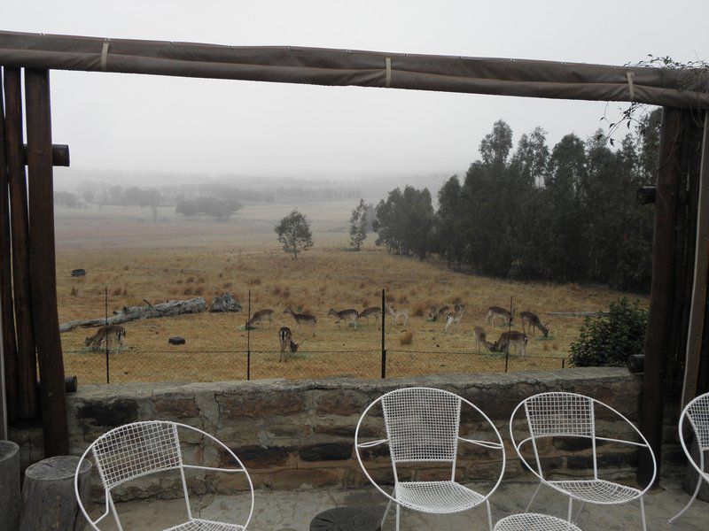 Klaarfontein Guest Farm Swinburne Free State South Africa Nature