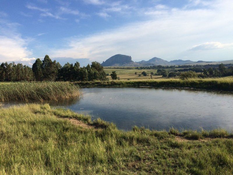 Klaarfontein Guest Farm Swinburne Free State South Africa Complementary Colors, River, Nature, Waters, Lowland