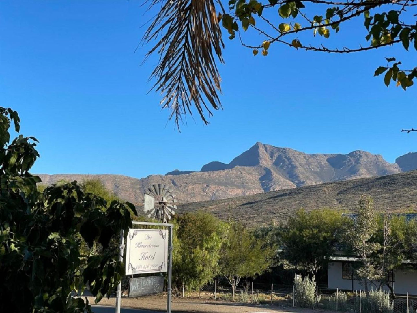 Klaarstroom Hotel Klaarstroom Western Cape South Africa Cactus, Plant, Nature, Sign