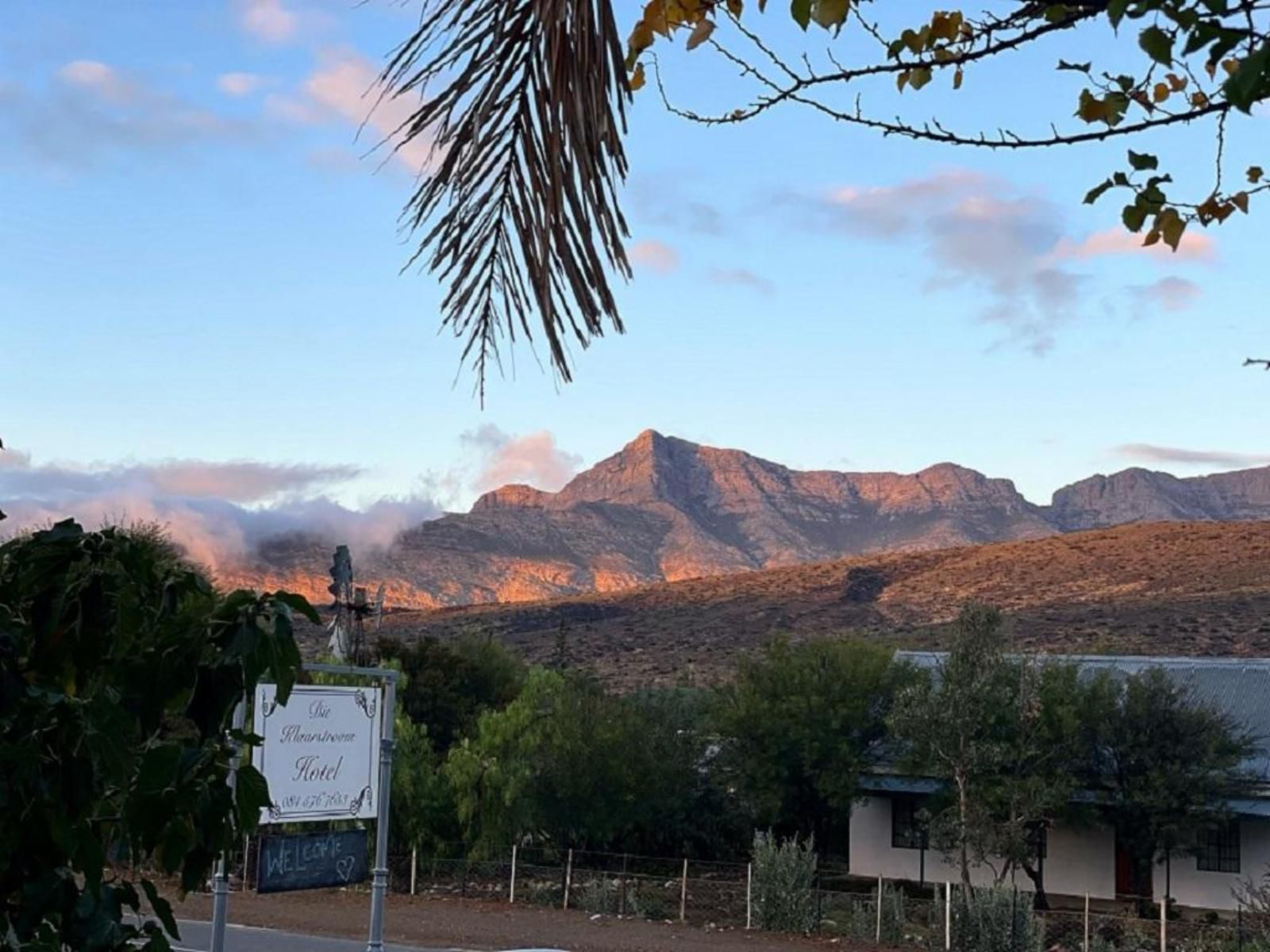 Klaarstroom Hotel Klaarstroom Western Cape South Africa Cactus, Plant, Nature