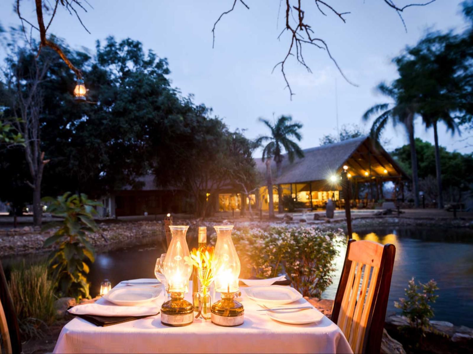 Klaserie River Safari Lodge Hoedspruit Limpopo Province South Africa Complementary Colors, Palm Tree, Plant, Nature, Wood