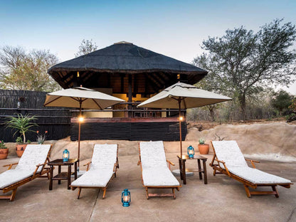 Klaserie River Safari Lodge Hoedspruit Limpopo Province South Africa 