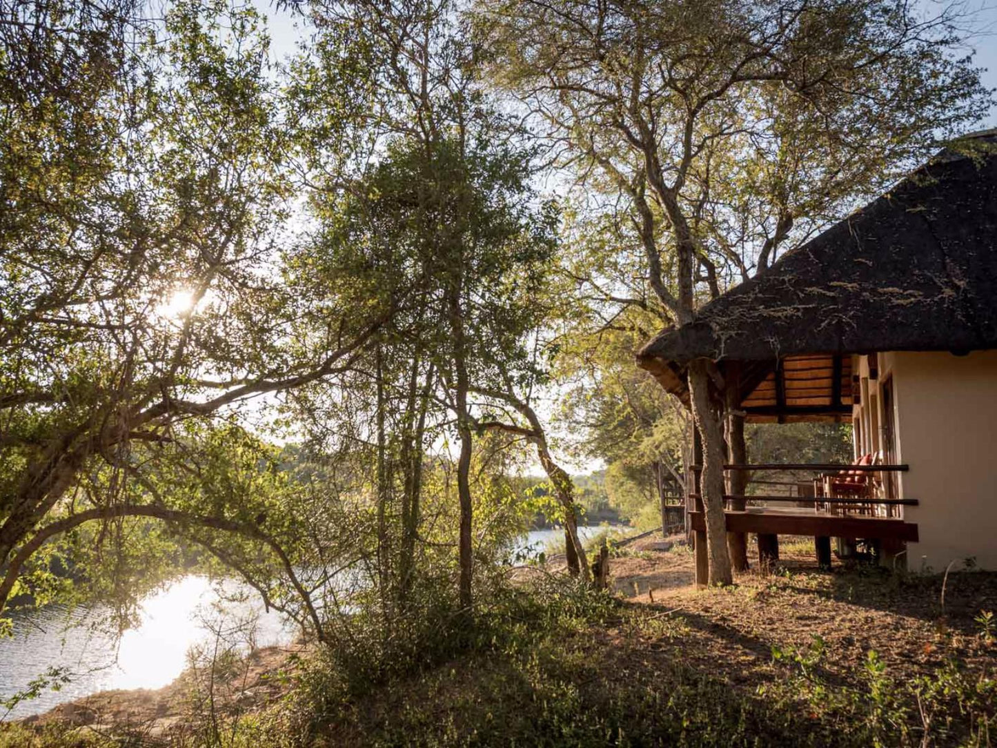 Klaserie River Safari Lodge Hoedspruit Limpopo Province South Africa Tree, Plant, Nature, Wood