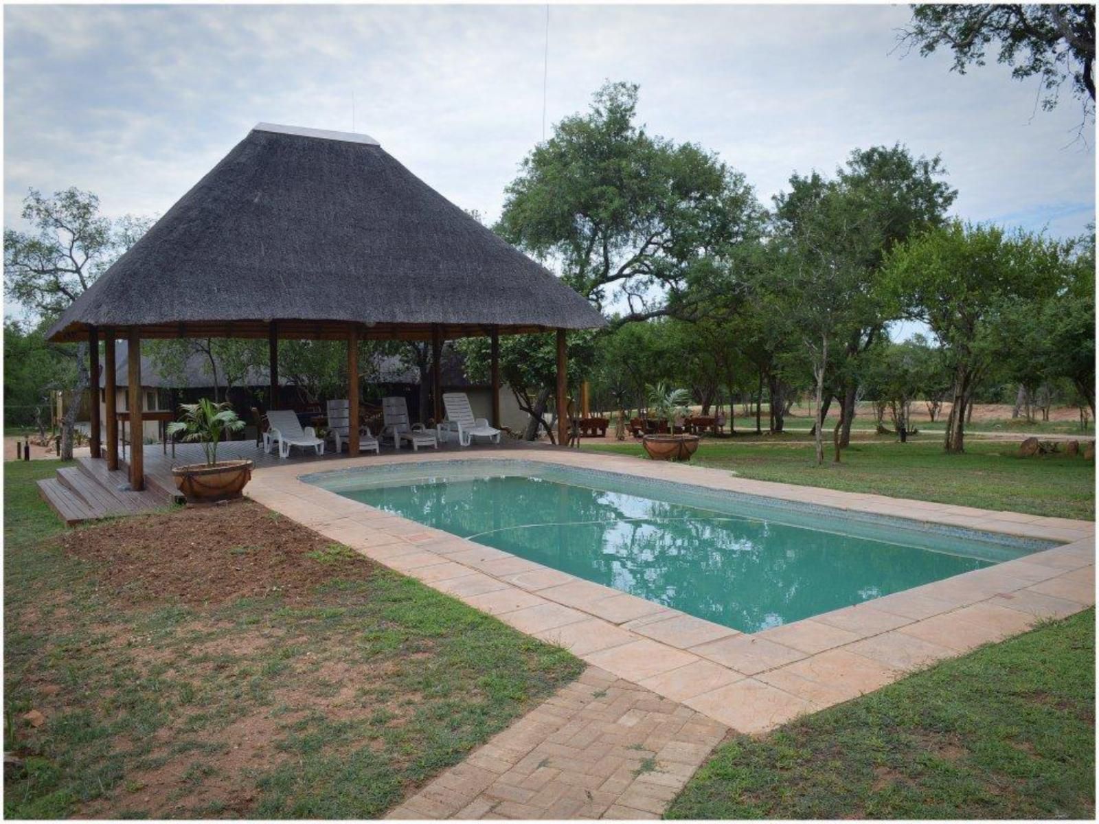 Klavati Game Lodge Hoedspruit Limpopo Province South Africa Swimming Pool