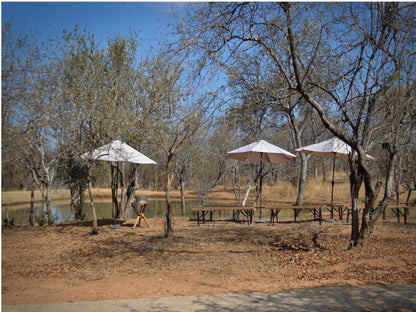 Klavati Game Lodge Hoedspruit Limpopo Province South Africa 