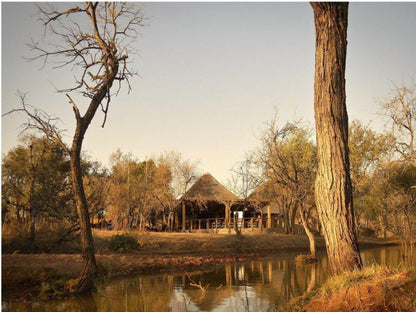 Klavati Game Lodge Hoedspruit Limpopo Province South Africa River, Nature, Waters