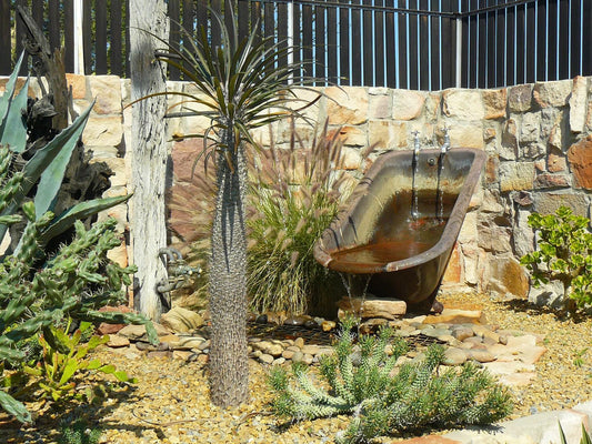 Klawer Hotel Klawer Western Cape South Africa Cactus, Plant, Nature, Garden