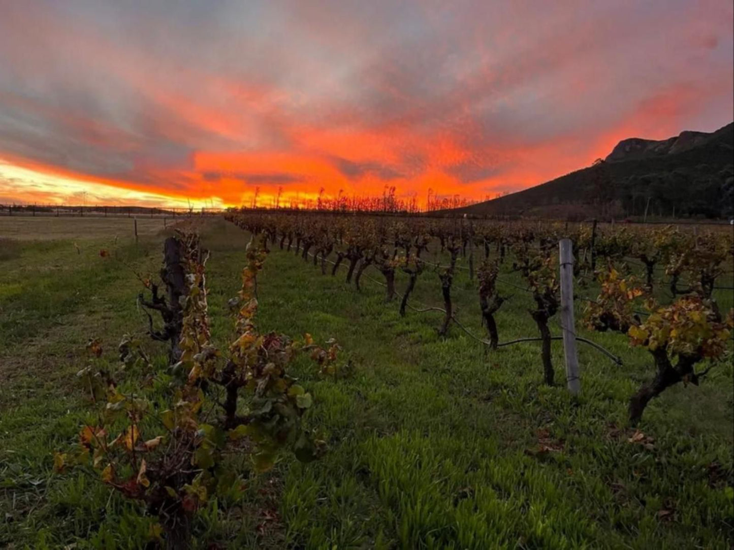 Klawerjas, Sunset, Nature, Sky