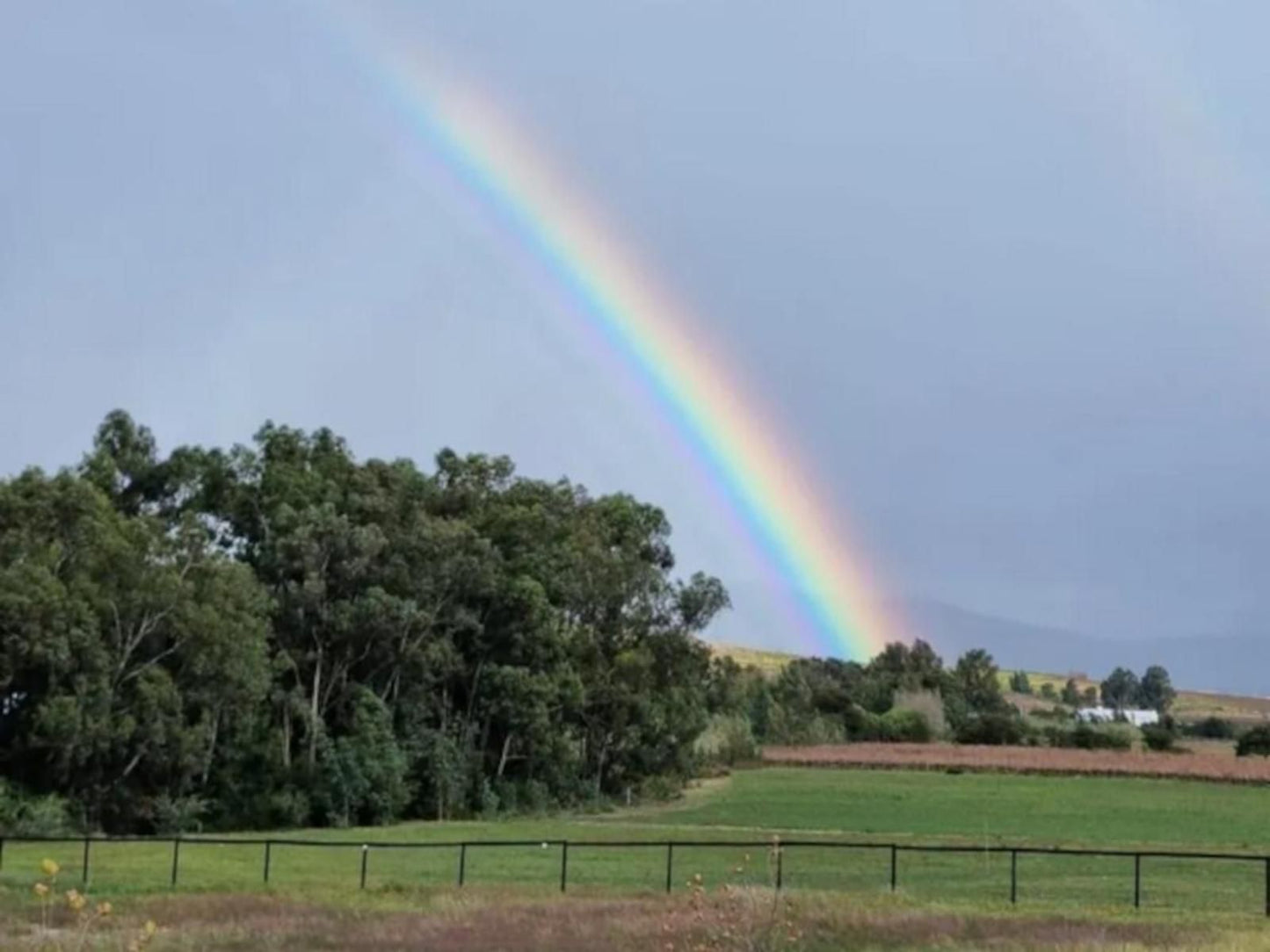 Klawerjas, Rainbow, Nature