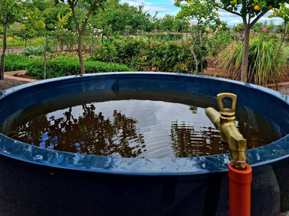 Klawerjas, Yellow Strings Room, Bathroom, Garden, Nature, Plant, Swimming Pool