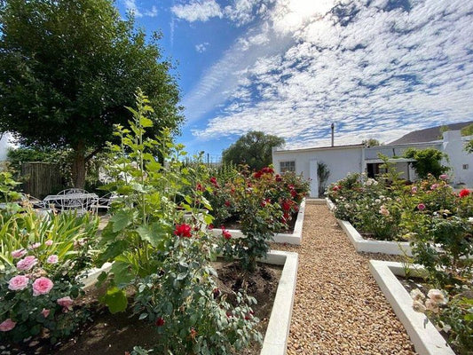 Klein Geluk Private House Nieu Bethesda Nieu Bethesda Eastern Cape South Africa Complementary Colors, House, Building, Architecture, Plant, Nature, Garden