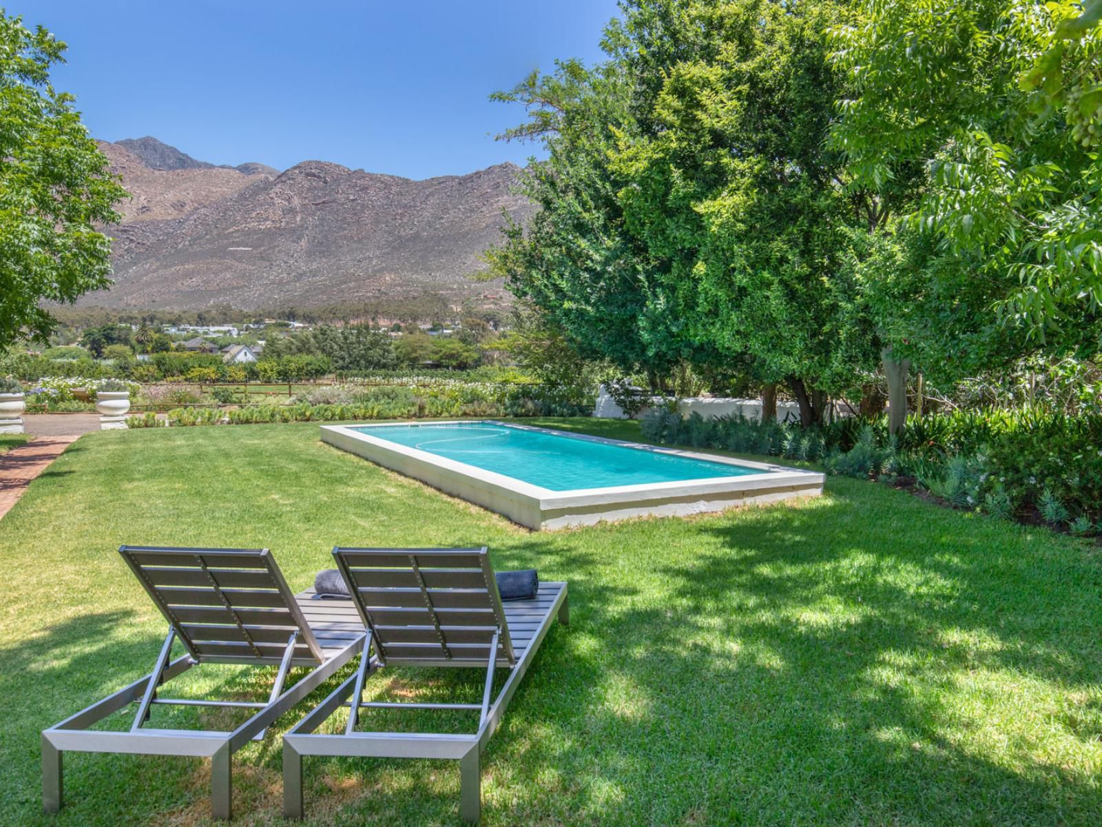 Klein Nektar Cottage Self Catering Montagu Western Cape South Africa Garden, Nature, Plant, Swimming Pool