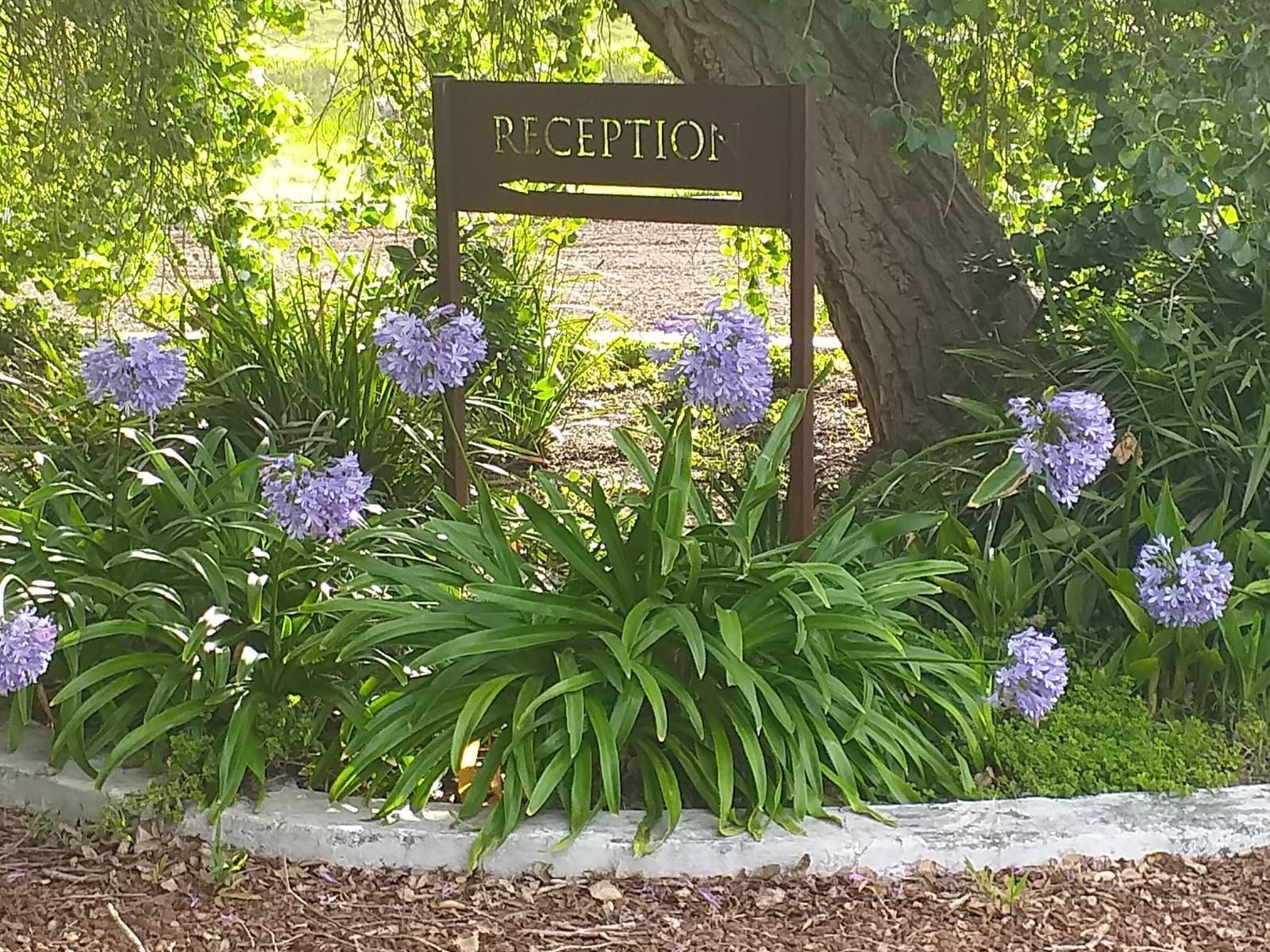 Klein Paradijs Country Retreat Pearly Beach Western Cape South Africa Flower, Plant, Nature, Garden