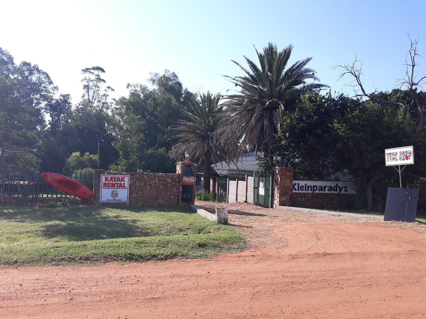 Klein Paradys Parys Parys Free State South Africa Palm Tree, Plant, Nature, Wood, Sign