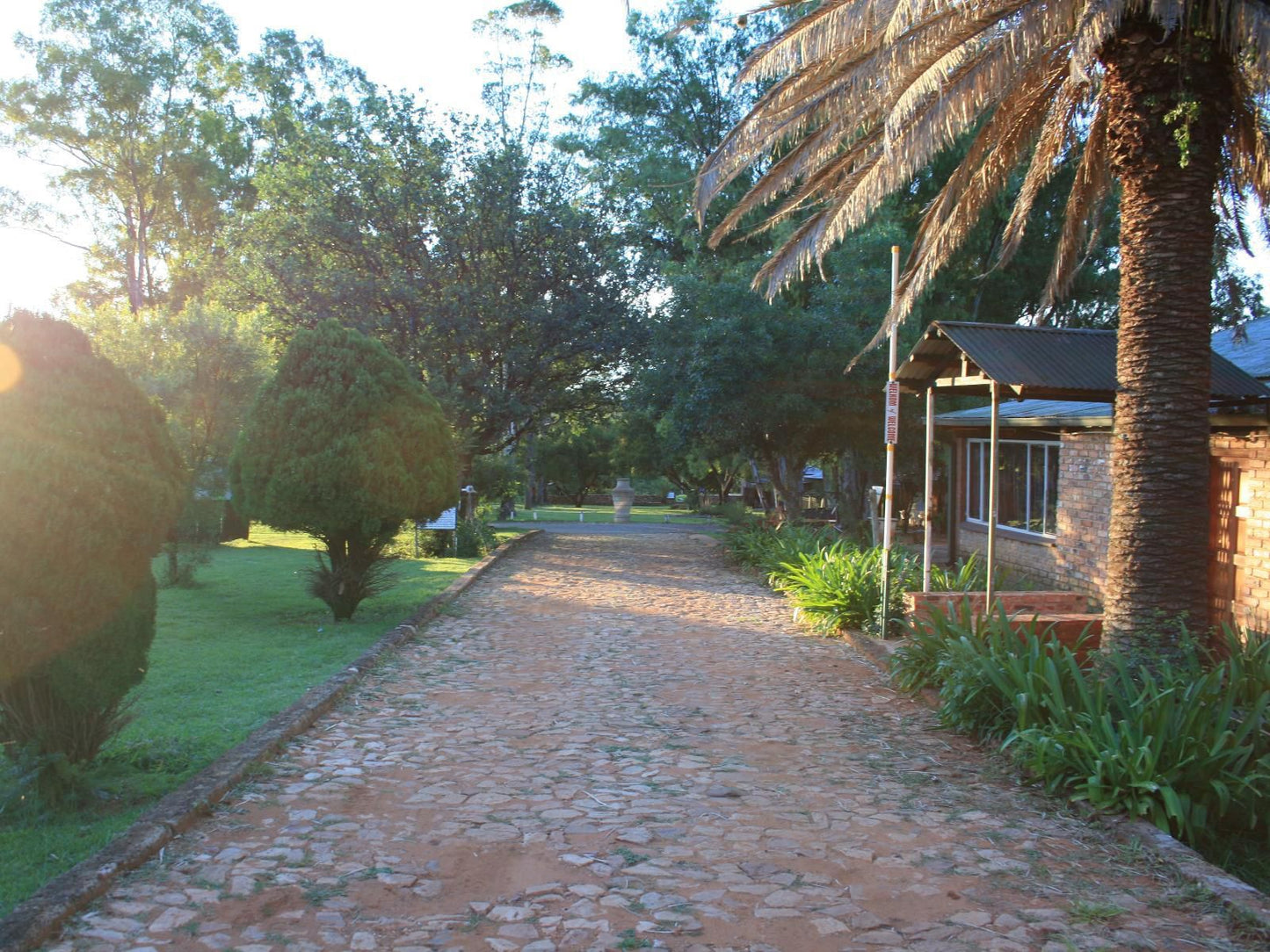 Klein Paradys Parys Parys Free State South Africa Palm Tree, Plant, Nature, Wood