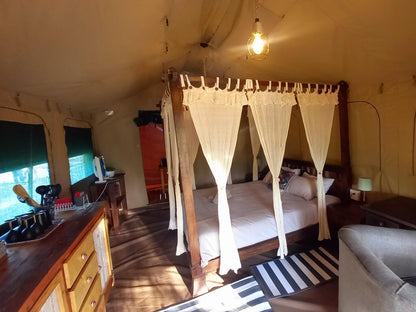 Luxury Tent 2 Sleeper @ Klein Paradys Parys