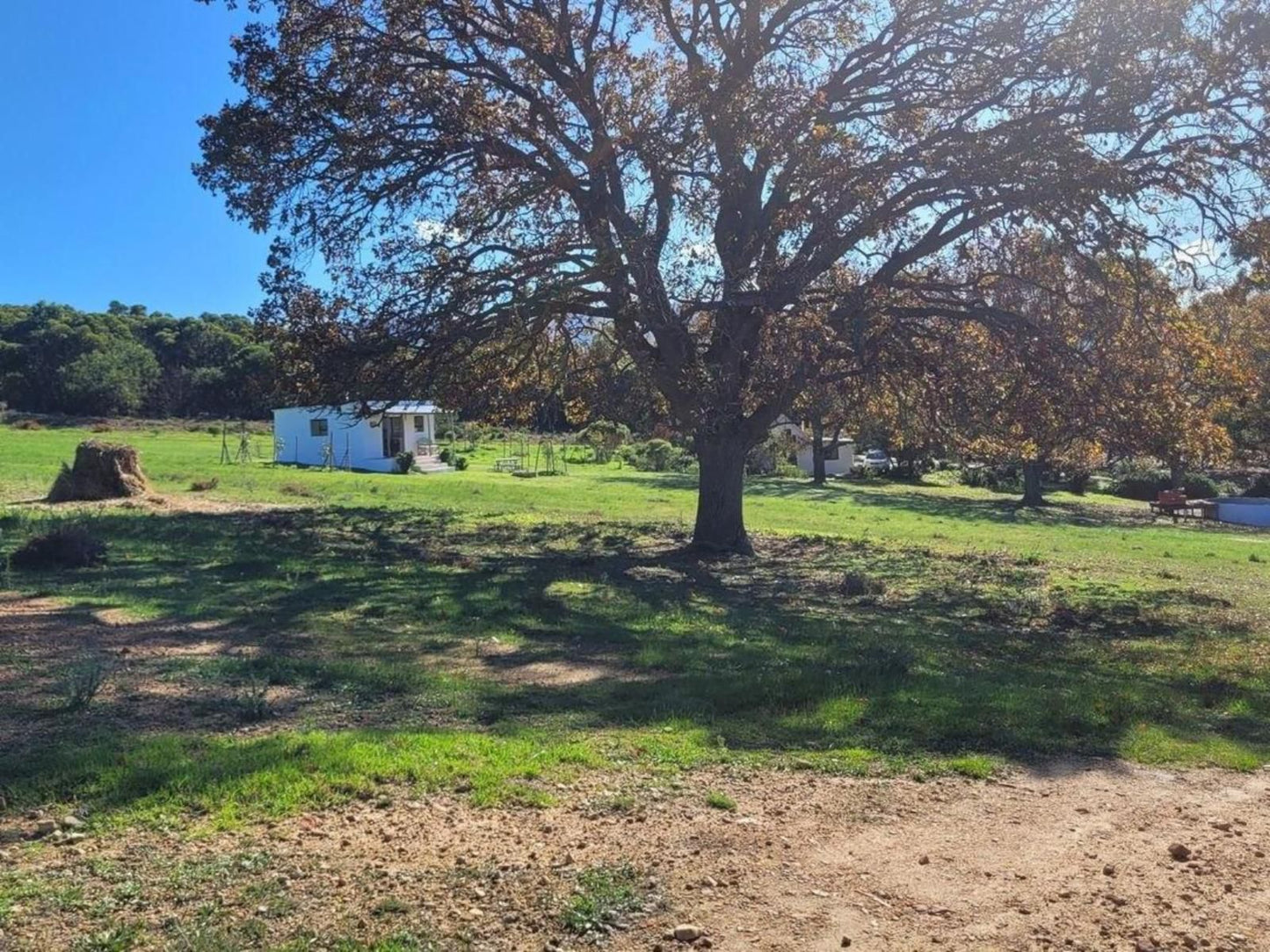 Klein Watervalplaas, Alpaca Cottage, Lowland, Nature