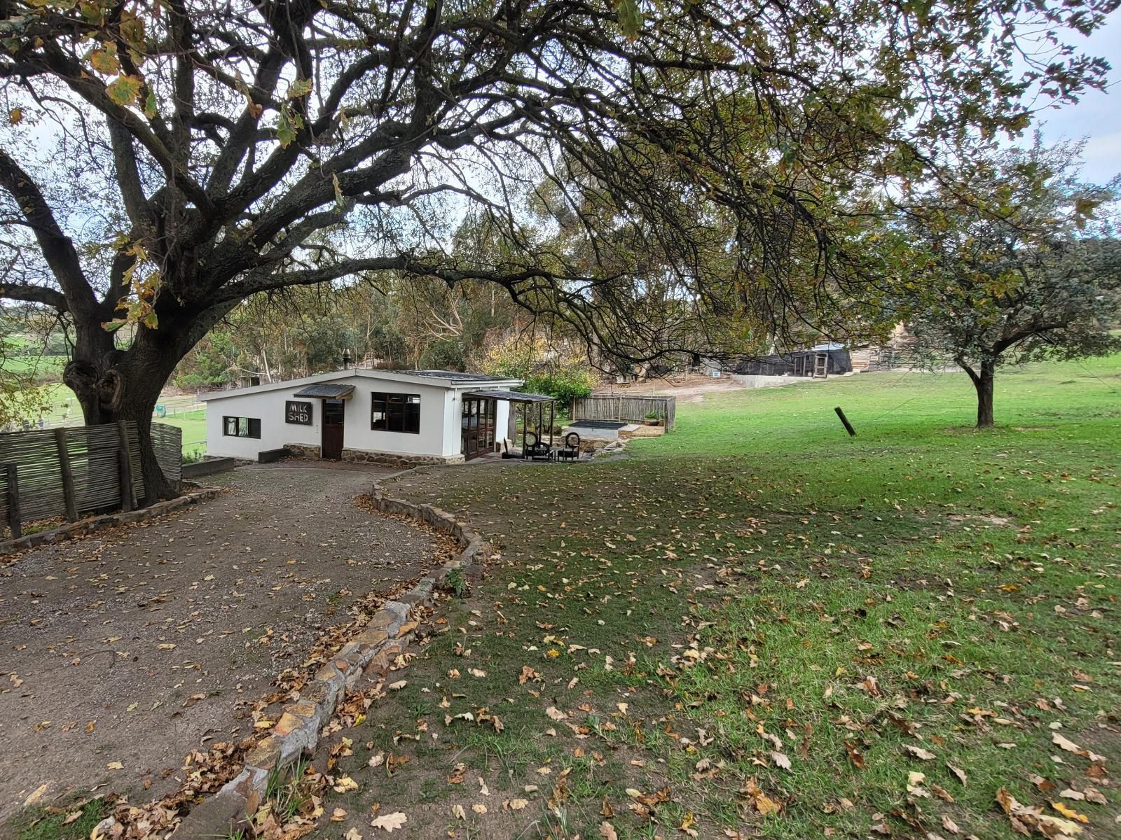 Klein Watervalplaas, Alpaca Cottage, House, Building, Architecture, Tree, Plant, Nature, Wood, Autumn