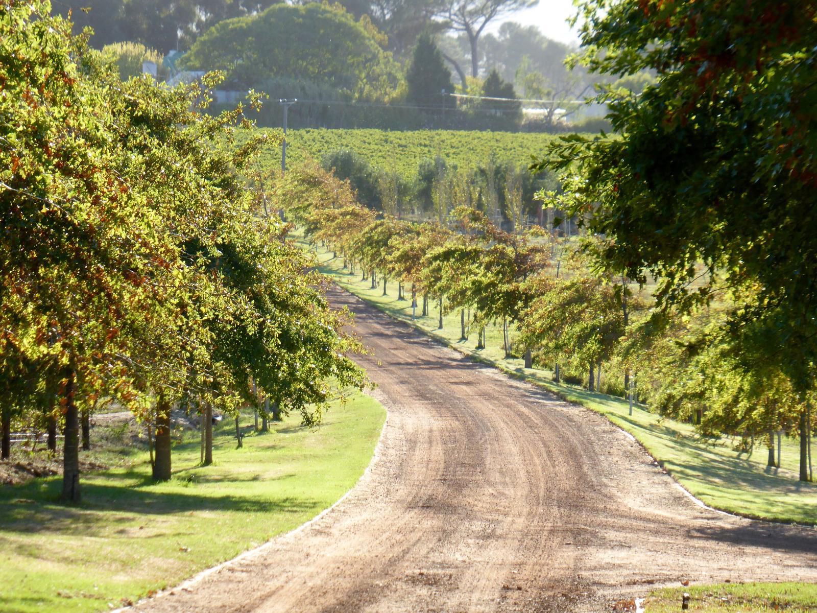 Klein Welmoed Luxury Guest House, Field, Nature, Agriculture, Tree, Plant, Wood, Street