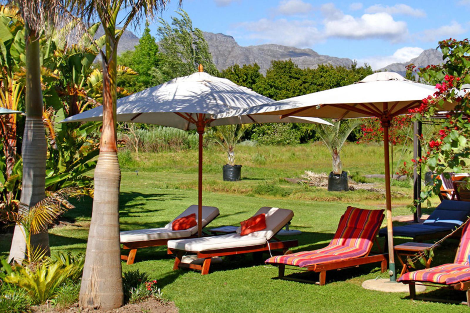 Kleinbosch Lodge Stellenbosch Western Cape South Africa 