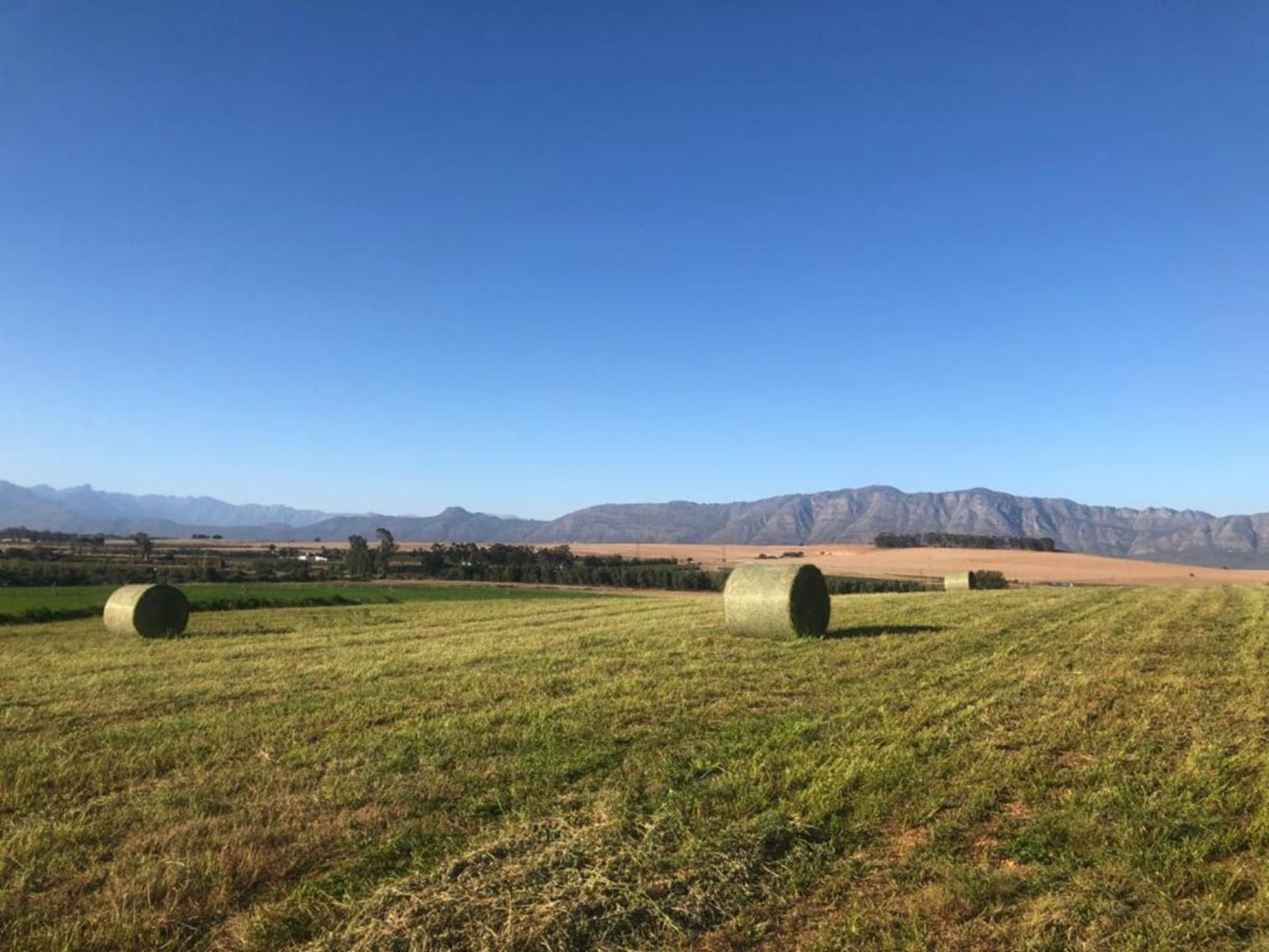 Klein Eikeboom Cottages Hermon Western Cape South Africa Complementary Colors, Colorful, Field, Nature, Agriculture, Lowland