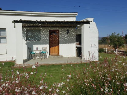 Klein Eikeboom Cottages Hermon Western Cape South Africa Complementary Colors, Building, Architecture, House