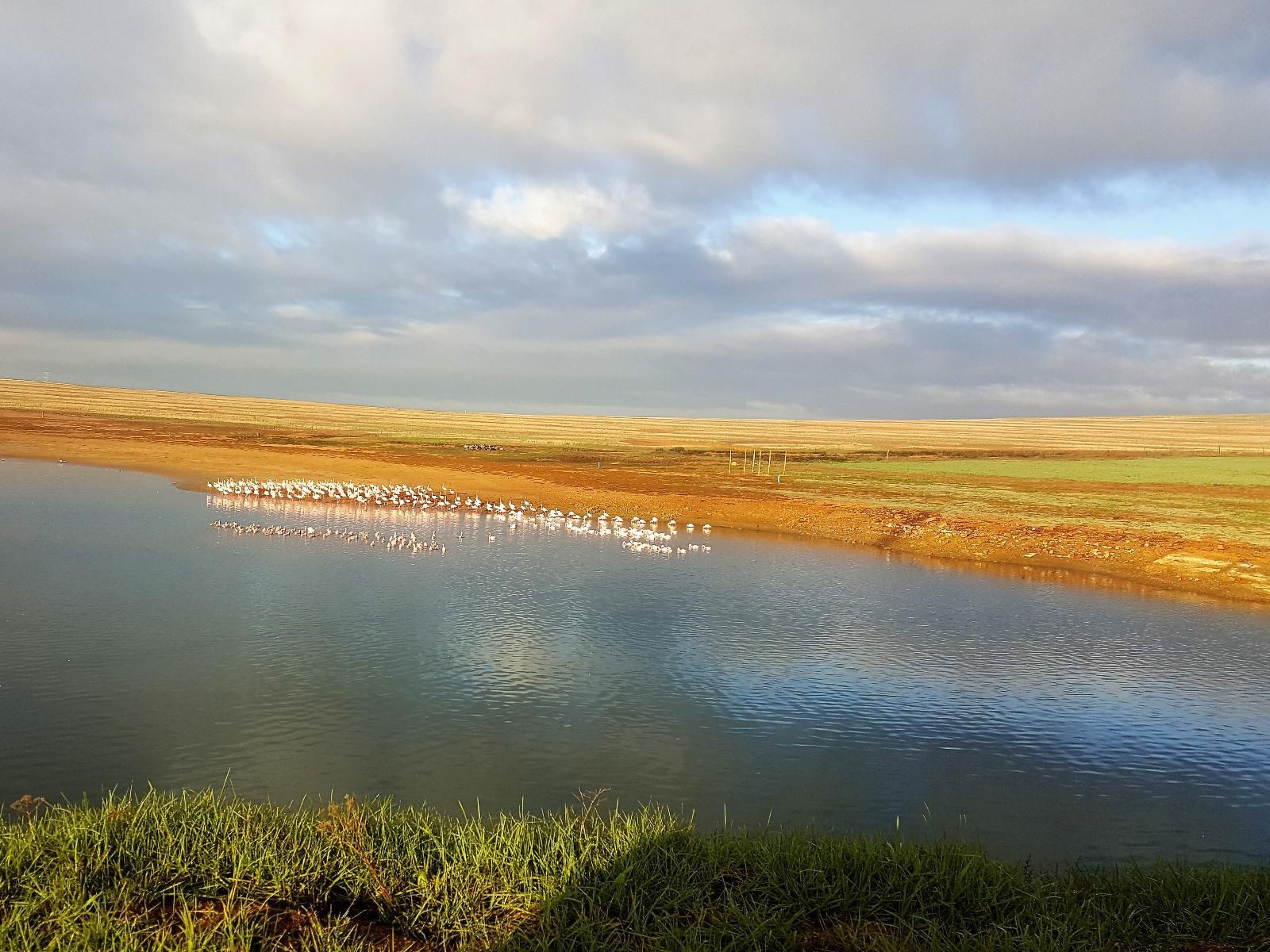 Klein Eikeboom Cottages Hermon Western Cape South Africa Lake, Nature, Waters, Lowland