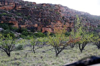 Kleinfontein Cederberg Western Cape South Africa Canyon, Nature