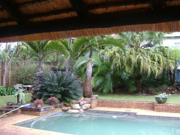 Kleingeluk Guest Cottages Makhado Louis Trichardt Limpopo Province South Africa Palm Tree, Plant, Nature, Wood, Garden, Living Room, Swimming Pool