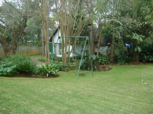 Kleingeluk Guest Cottages Makhado Louis Trichardt Limpopo Province South Africa Palm Tree, Plant, Nature, Wood, Garden