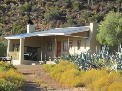 Kleingeluk Guest Farm De Rust Western Cape South Africa Cactus, Plant, Nature, House, Building, Architecture