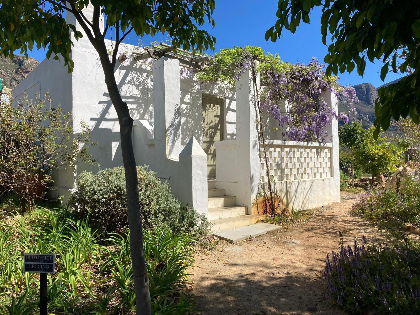 Kleinkloof Farm Piketberg Western Cape South Africa House, Building, Architecture, Palm Tree, Plant, Nature, Wood, Garden