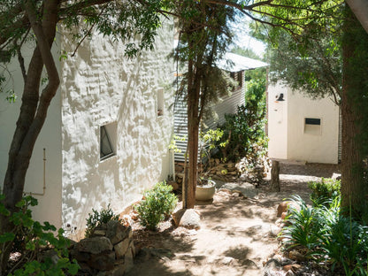 Kleinkloof Farm Piketberg Western Cape South Africa House, Building, Architecture, Palm Tree, Plant, Nature, Wood, Garden