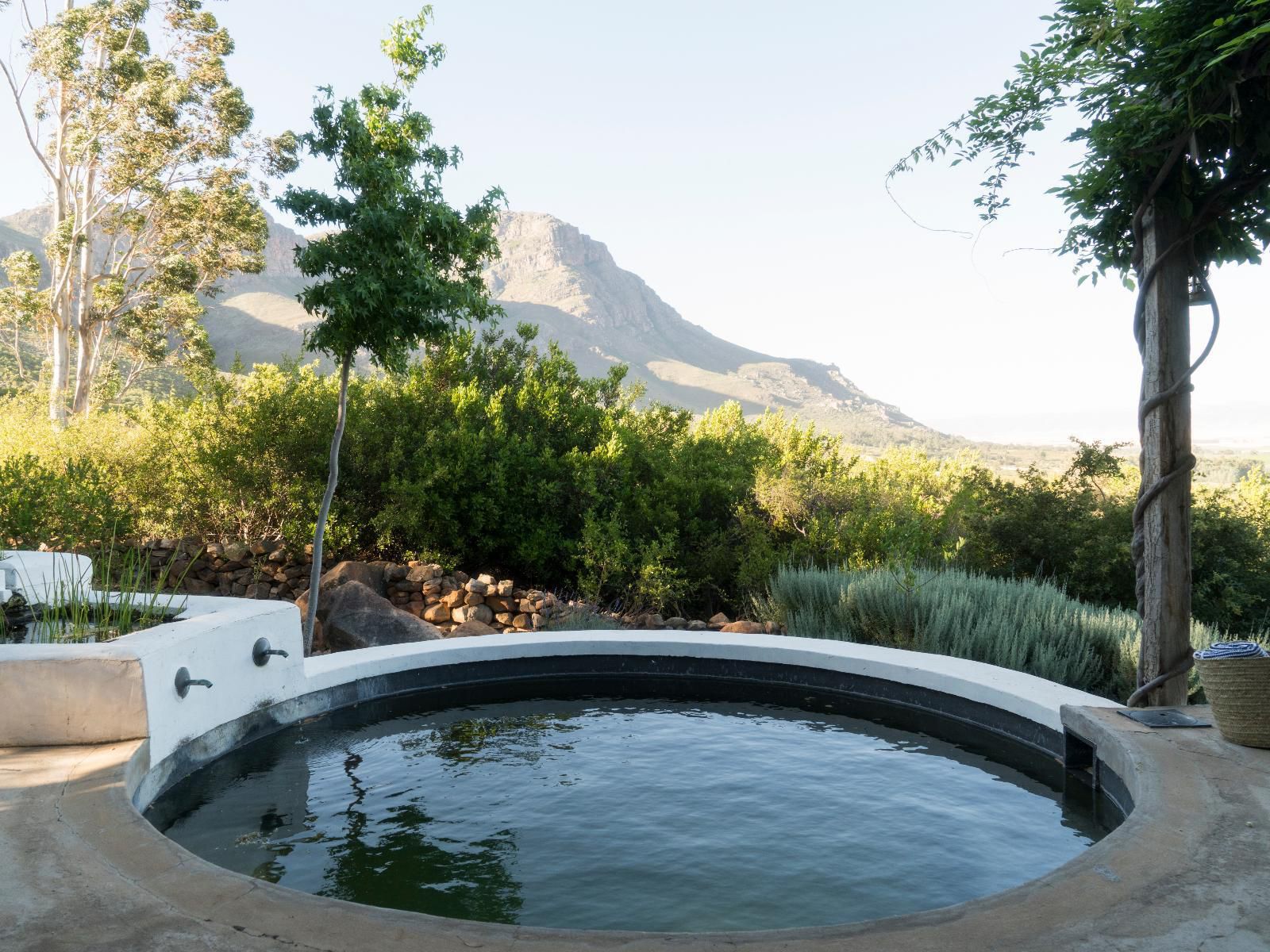 Kleinkloof Farm Piketberg Western Cape South Africa Garden, Nature, Plant, Swimming Pool