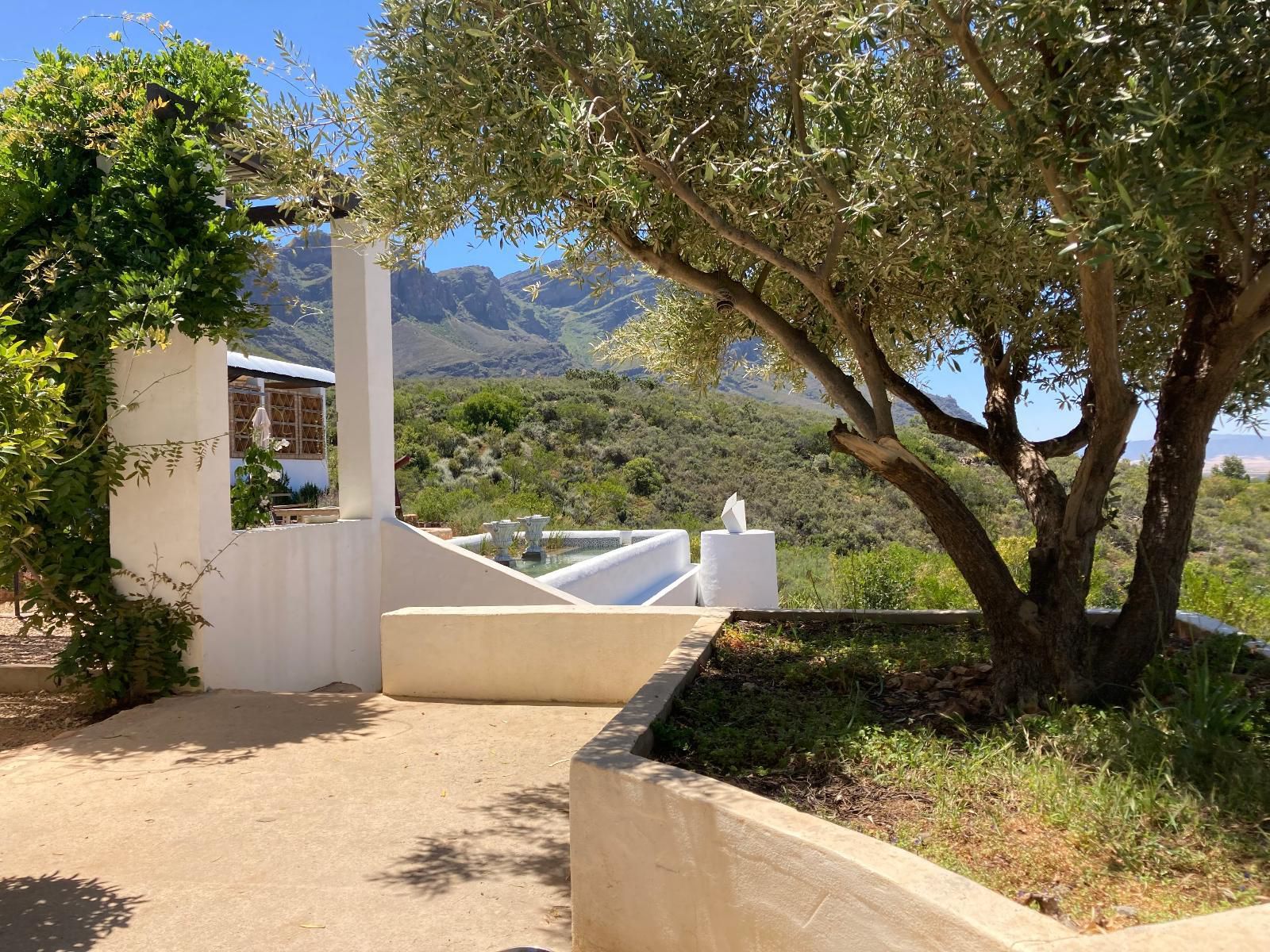 Kleinkloof Farm Piketberg Western Cape South Africa House, Building, Architecture, Palm Tree, Plant, Nature, Wood, Framing, Garden