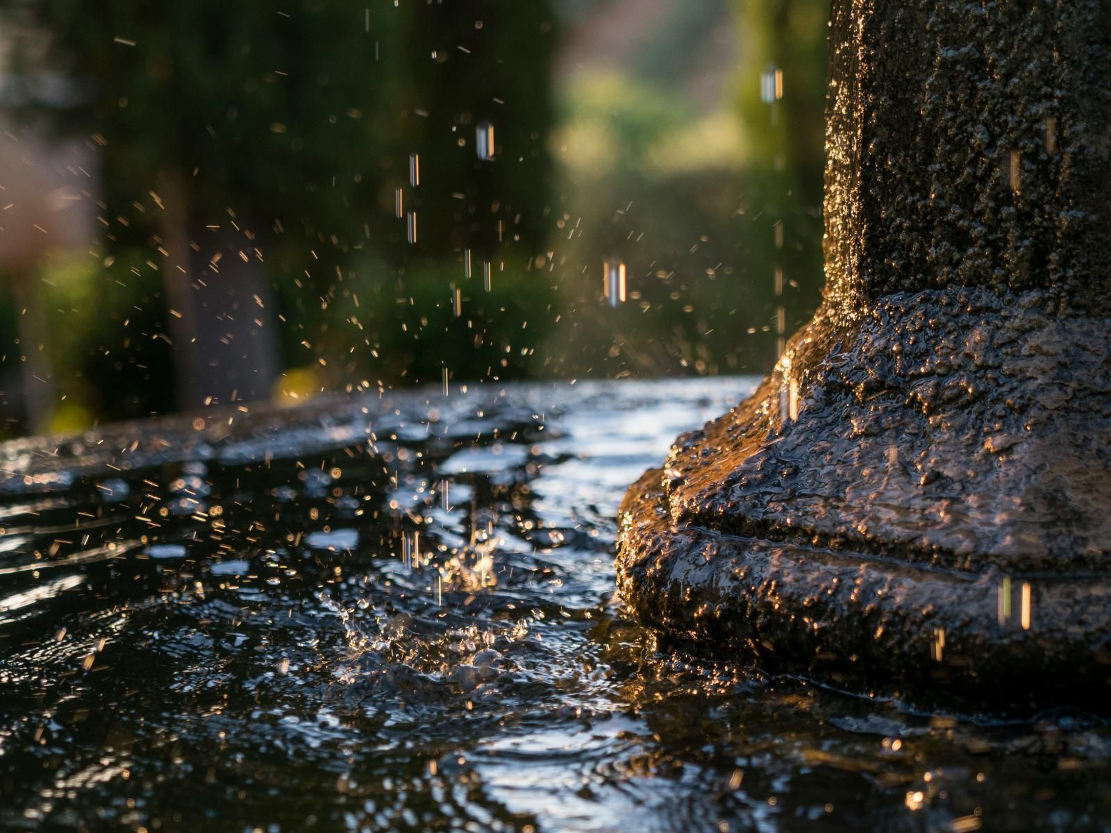 Kleinkloof Farm Piketberg Western Cape South Africa Bokeh, Rain, Nature