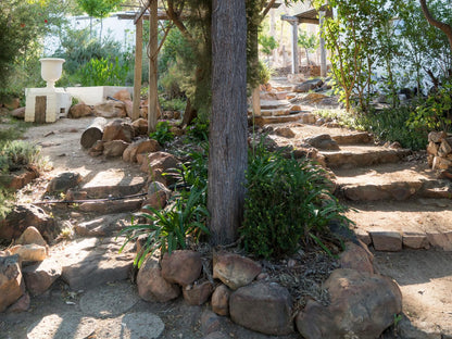 Kleinkloof Farm Piketberg Western Cape South Africa Plant, Nature, Reptile, Animal, Ruin, Architecture, Garden