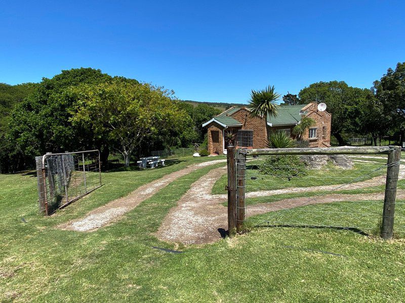 Colleen Glen Self Catering Cottage Colleen Glen Port Elizabeth Eastern Cape South Africa Complementary Colors