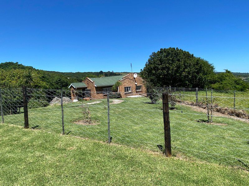 Colleen Glen Self Catering Cottage Colleen Glen Port Elizabeth Eastern Cape South Africa Complementary Colors, Field, Nature, Agriculture