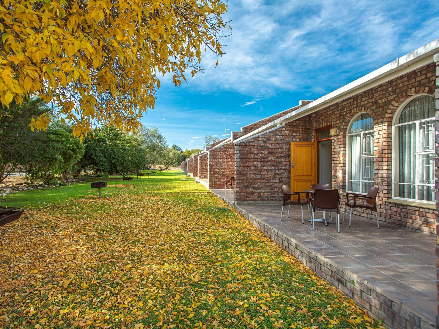 Kleinplaas Oudtshoorn Western Cape South Africa Complementary Colors, Autumn, Nature