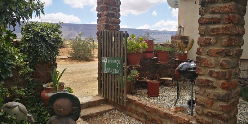 Kleinplasie Camping Site Calvinia Northern Cape South Africa Bottle, Drinking Accessoire, Drink, Cactus, Plant, Nature, Sign