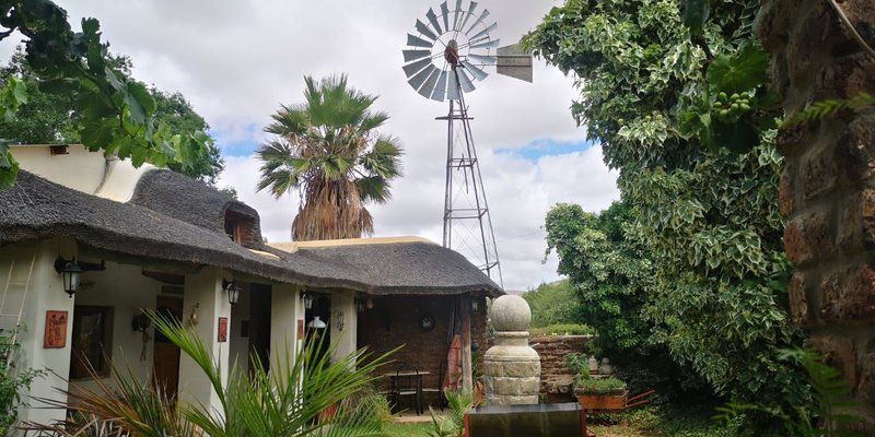 Kleinplasie Camping Site Calvinia Northern Cape South Africa Building, Architecture, House, Palm Tree, Plant, Nature, Wood