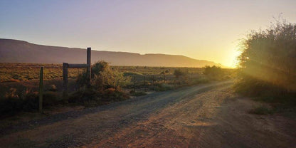 Kleinplasie Camping Site Calvinia Northern Cape South Africa Cactus, Plant, Nature, Desert, Sand, Framing, Street, Sunset, Sky