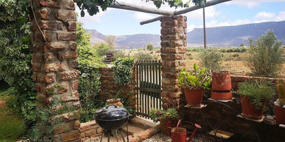 Kleinplasie Camping Site Calvinia Northern Cape South Africa Framing, Garden, Nature, Plant
