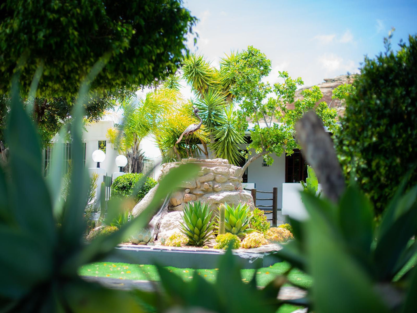 Kleinplasie Gastehuis Springbok Northern Cape South Africa House, Building, Architecture, Palm Tree, Plant, Nature, Wood, Garden