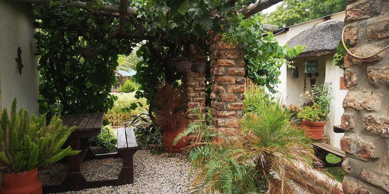 Kleinplasie Guesthouse Calvinia Northern Cape South Africa Palm Tree, Plant, Nature, Wood, Garden