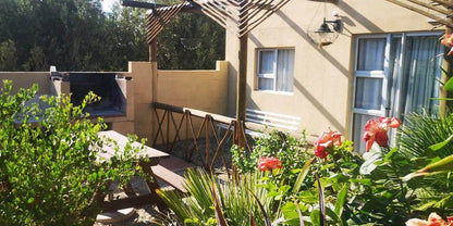 Kleinplasie Guesthouse Calvinia Northern Cape South Africa Balcony, Architecture, Palm Tree, Plant, Nature, Wood, Garden, Swimming Pool