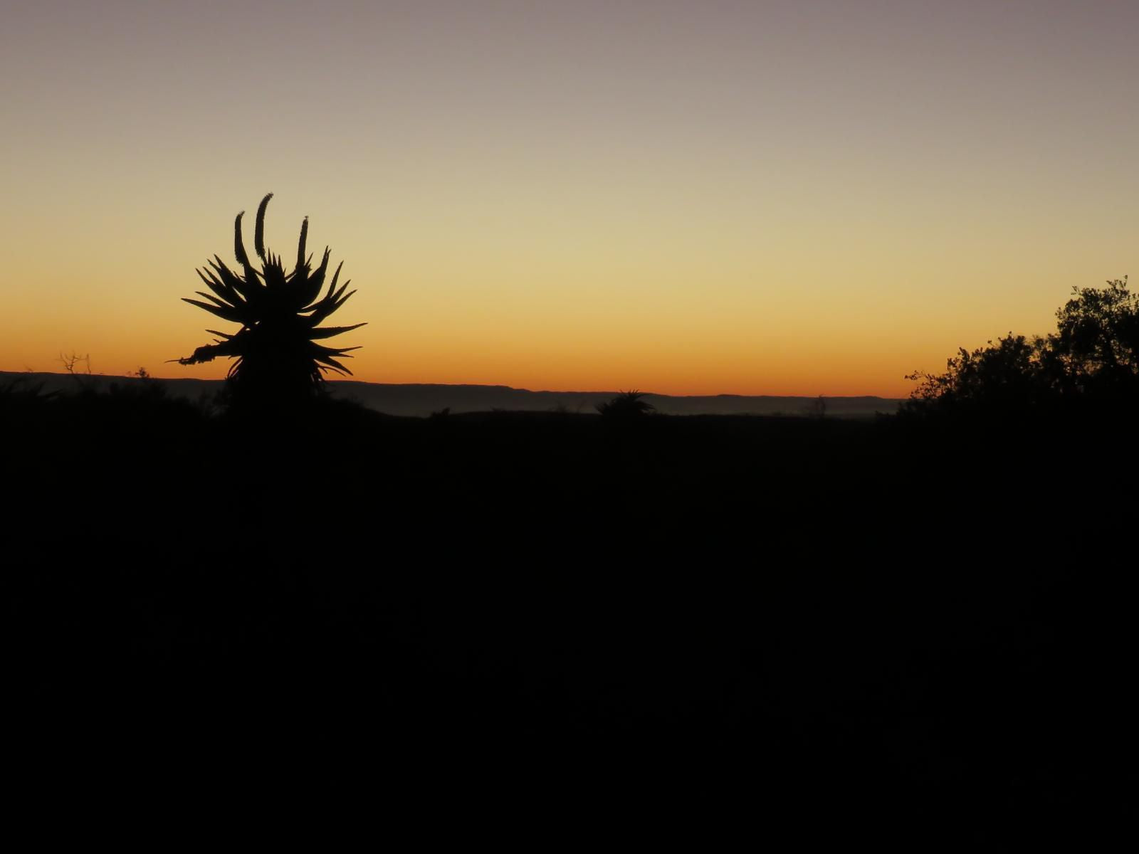 Kleinrivier Mountain Escapes Uitenhage Eastern Cape South Africa Silhouette, Nature, Sunset, Sky